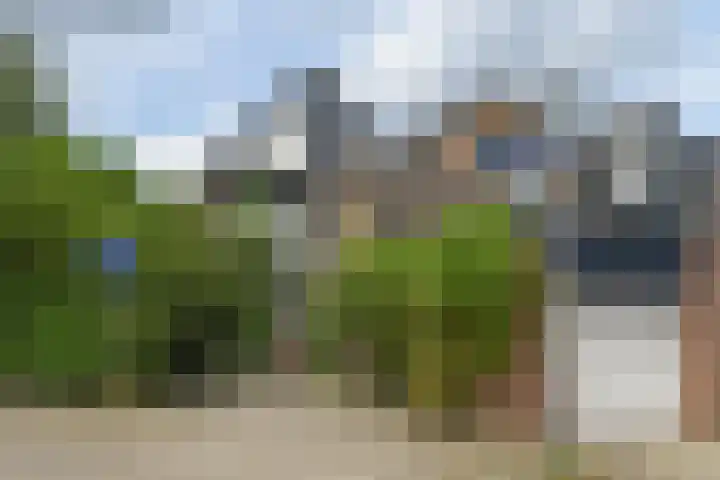 Snoek 1 Blaricum thumbnail 22