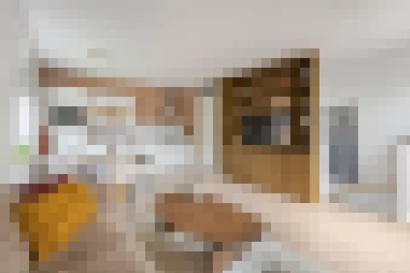 Snoek 1 Schagen thumbnail 19