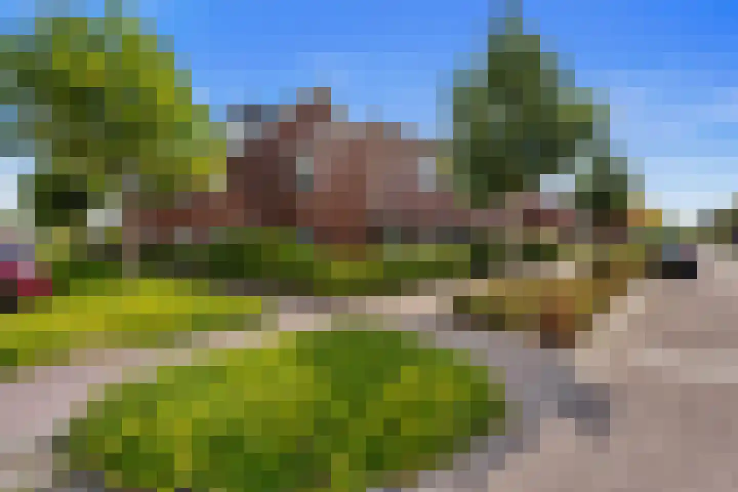 Snoek 1 Schagen foto 2