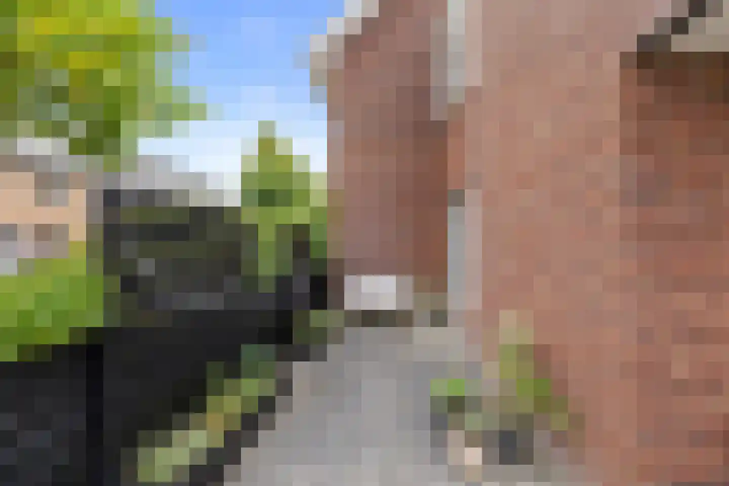 Snoek 1 Schagen thumbnail 21