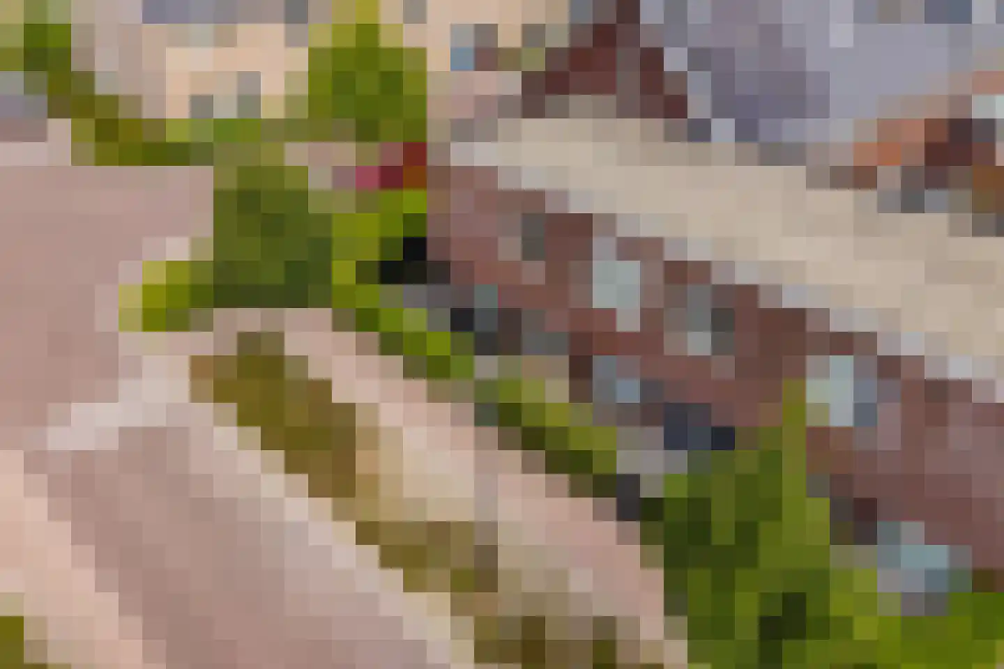 Snoek 1 Schagen thumbnail 25