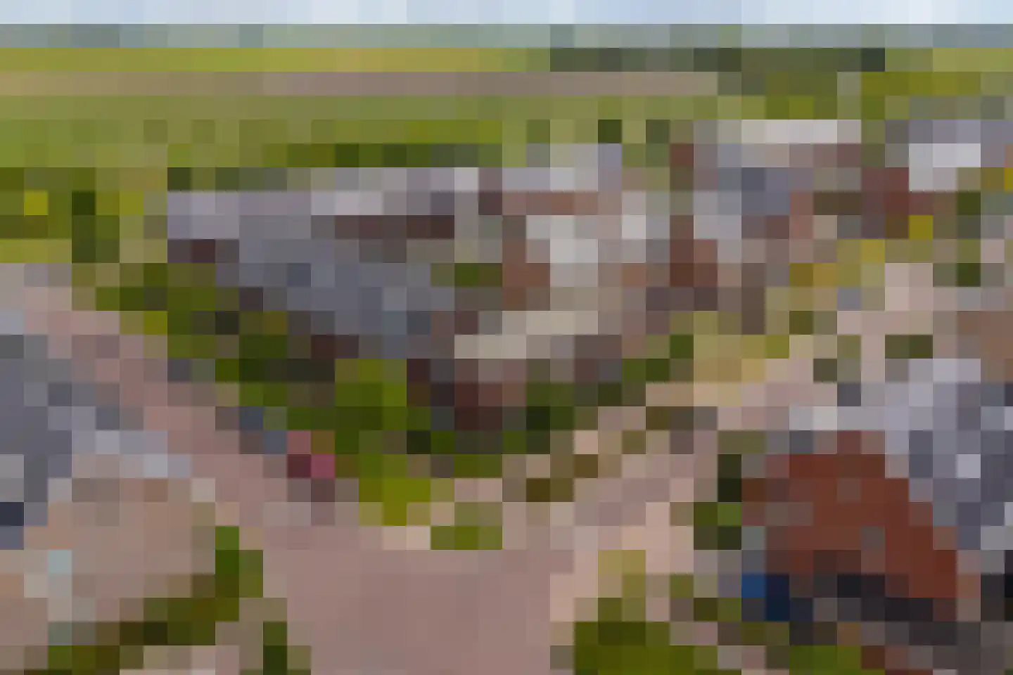 Snoek 1 Schagen thumbnail 26