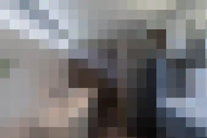 Snoek 21 Blaricum thumbnail 18