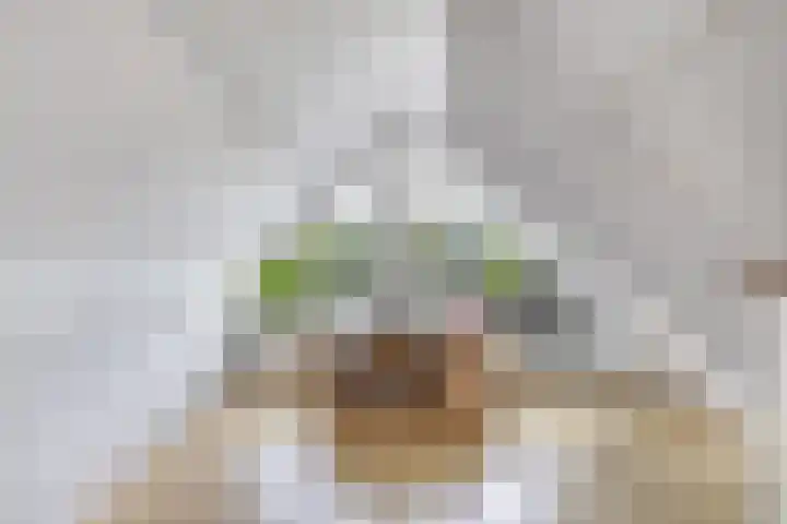 Snoek 21 Blaricum thumbnail 22