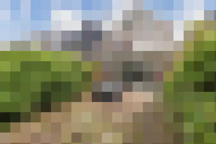 Snoek 21 Blaricum thumbnail 26