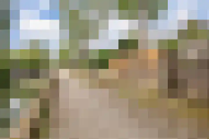 Snoek 21 Blaricum thumbnail 27