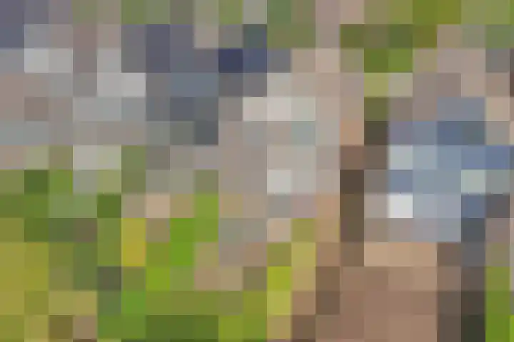 Snoek 21 Blaricum thumbnail 28