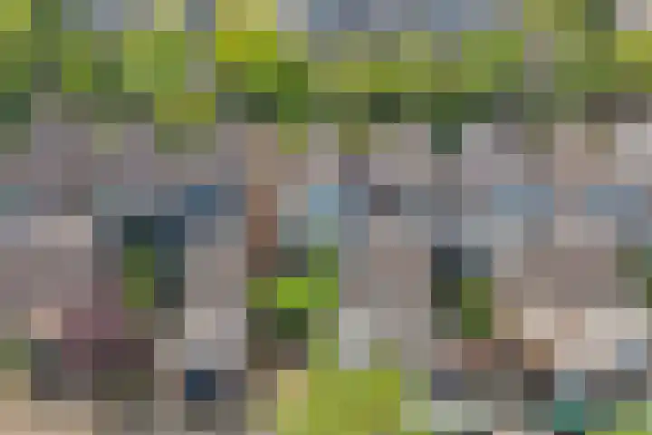Snoek 21 Blaricum thumbnail 4