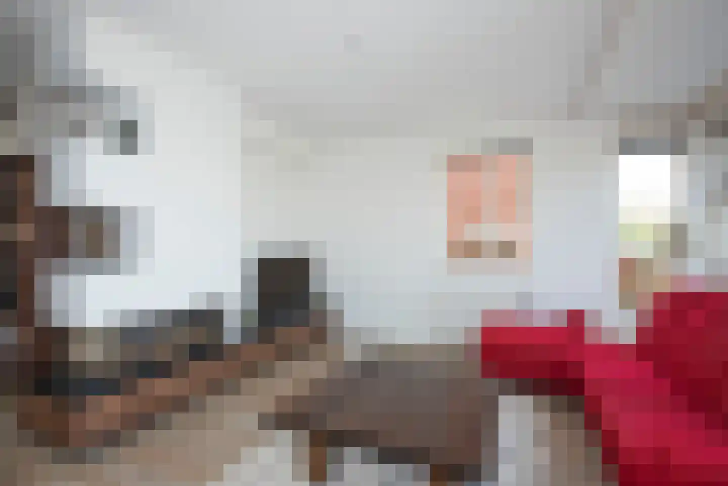Snoek 22 Borne thumbnail 11