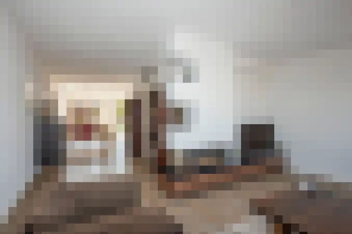 Snoek 22 Borne thumbnail 14