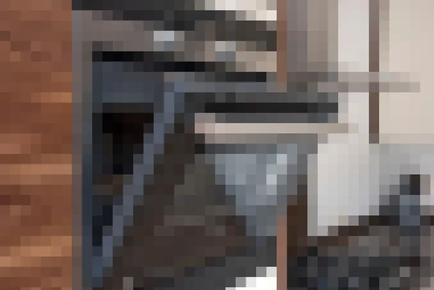 Snoek 22 Borne thumbnail 18