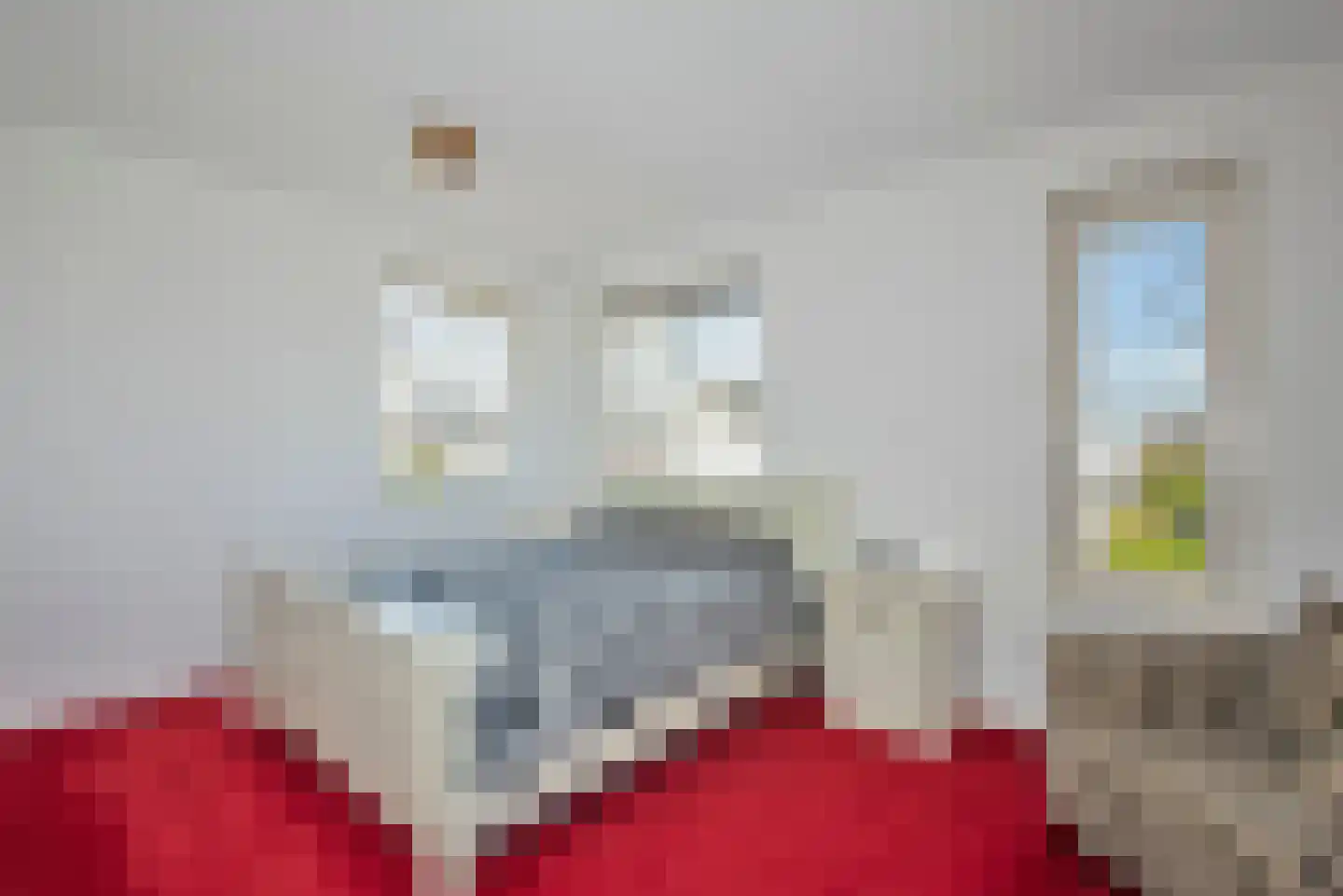 Snoek 22 Borne thumbnail 25