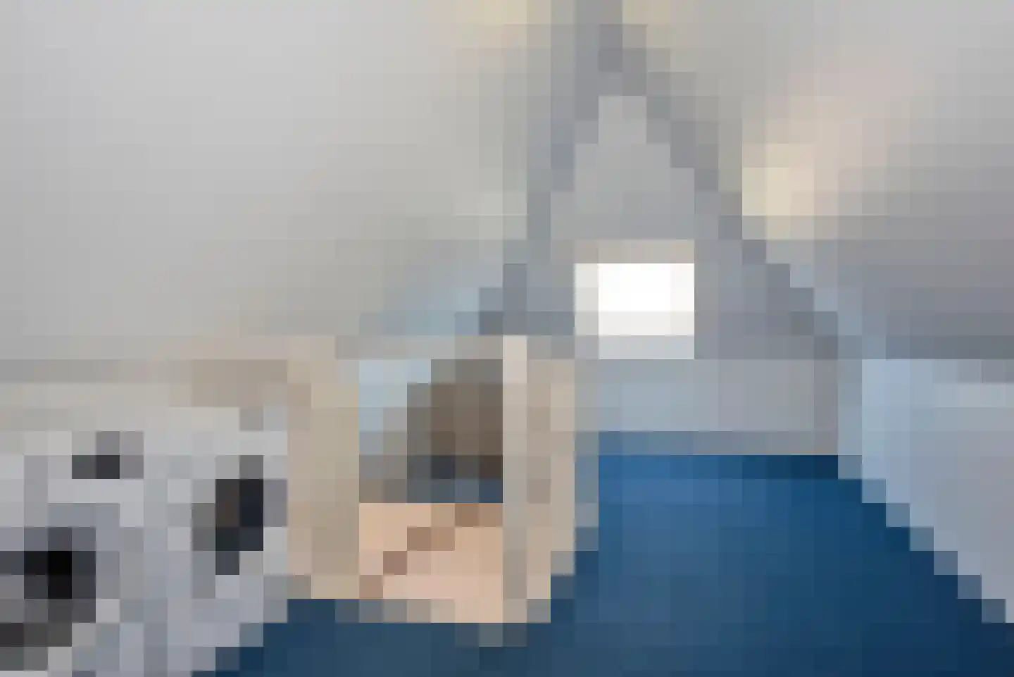Snoek 22 Borne thumbnail 35