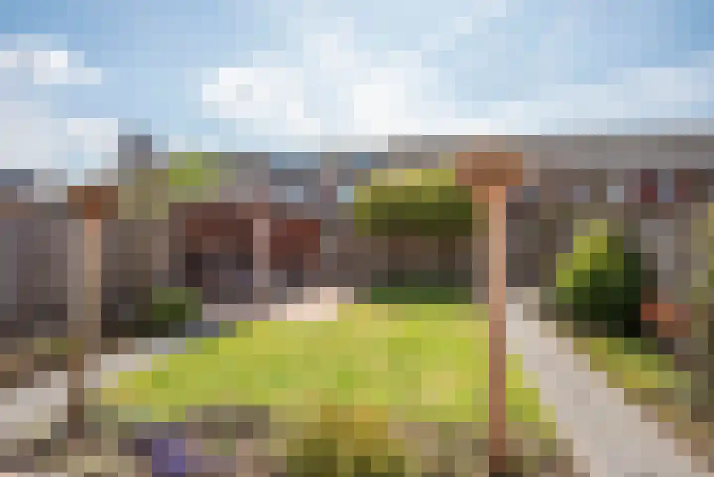 Snoek 22 Borne thumbnail 38