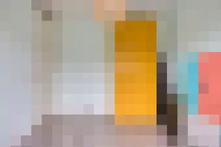Snoek 24 Hendrik-Ido-Ambacht thumbnail 26