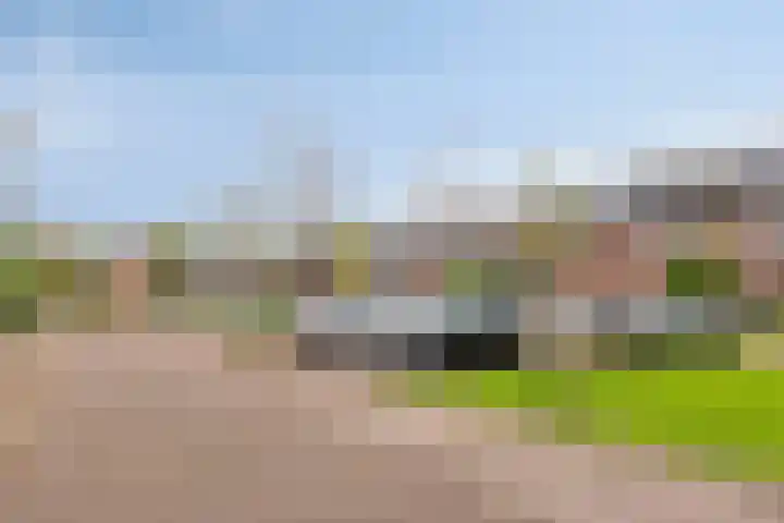 Snoek 24 Hendrik-Ido-Ambacht thumbnail 39