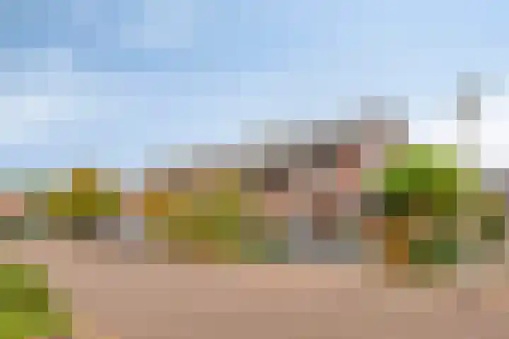 Snoek 24 Hendrik-Ido-Ambacht thumbnail 4