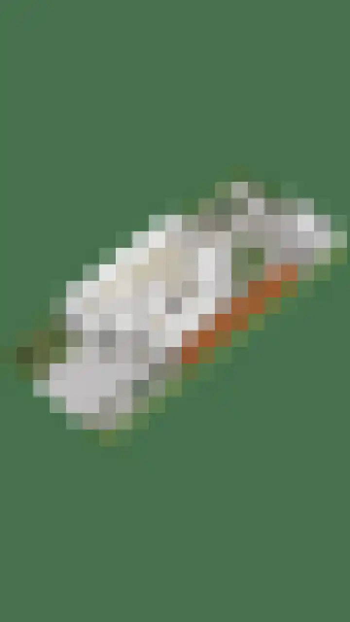 Snoek 24 Hendrik-Ido-Ambacht thumbnail 45