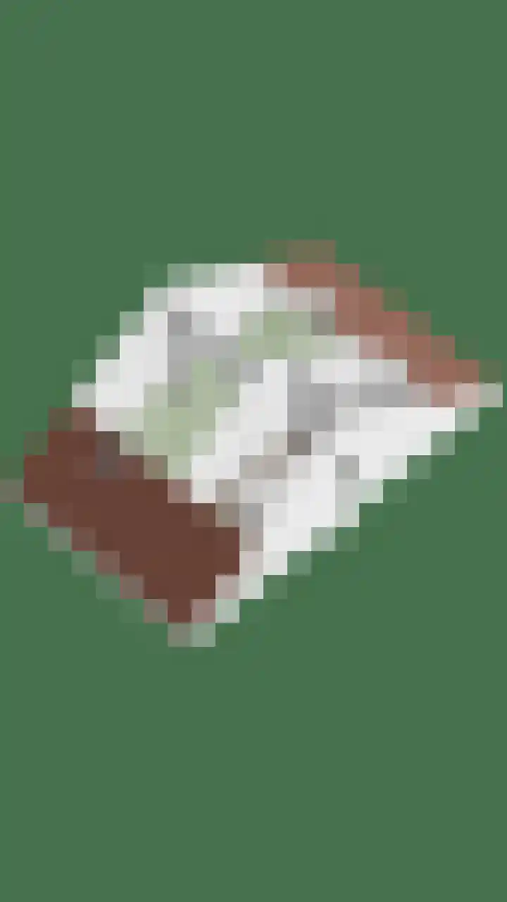 Snoek 24 Hendrik-Ido-Ambacht thumbnail 48