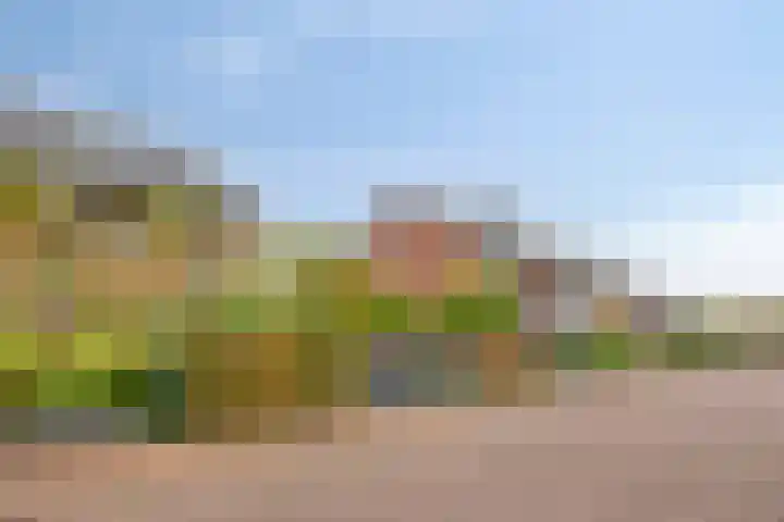 Snoek 24 Hendrik-Ido-Ambacht thumbnail 5