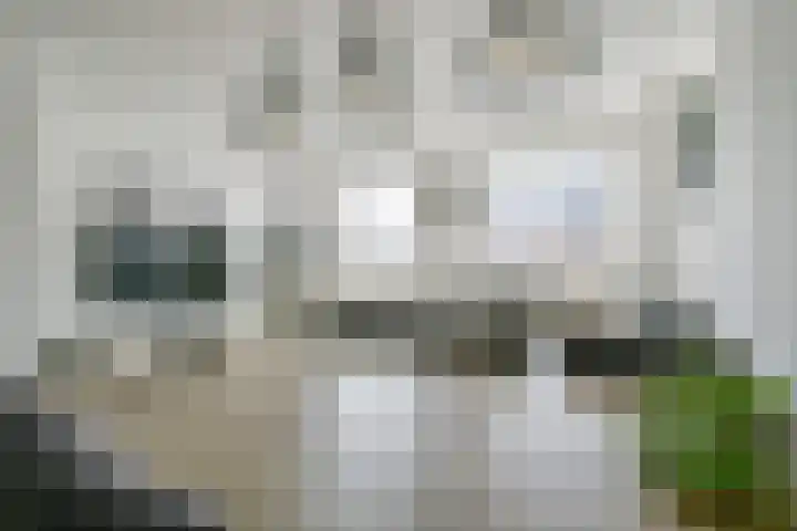 Snoek 3 Schagen thumbnail 11