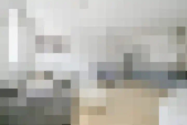 Snoek 3 Schagen thumbnail 6