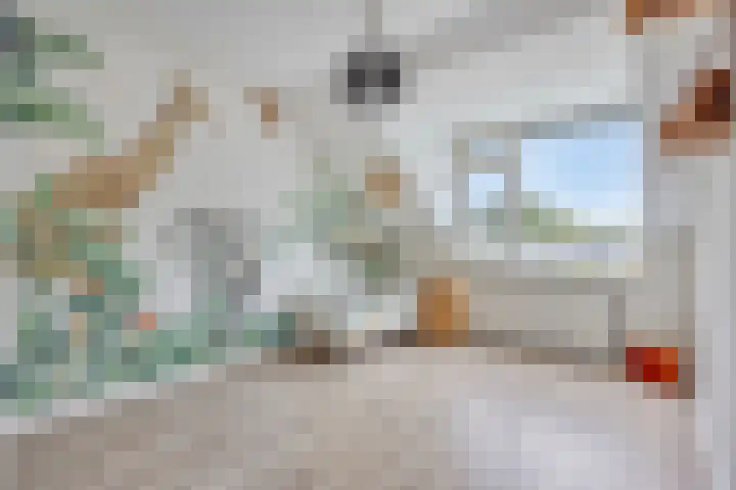 Snoek 6 Oss thumbnail 11
