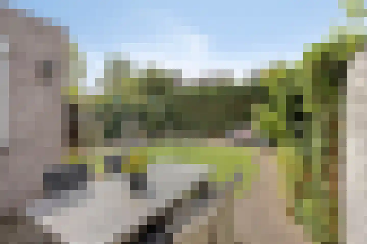 Snoek 6 Oss thumbnail 23