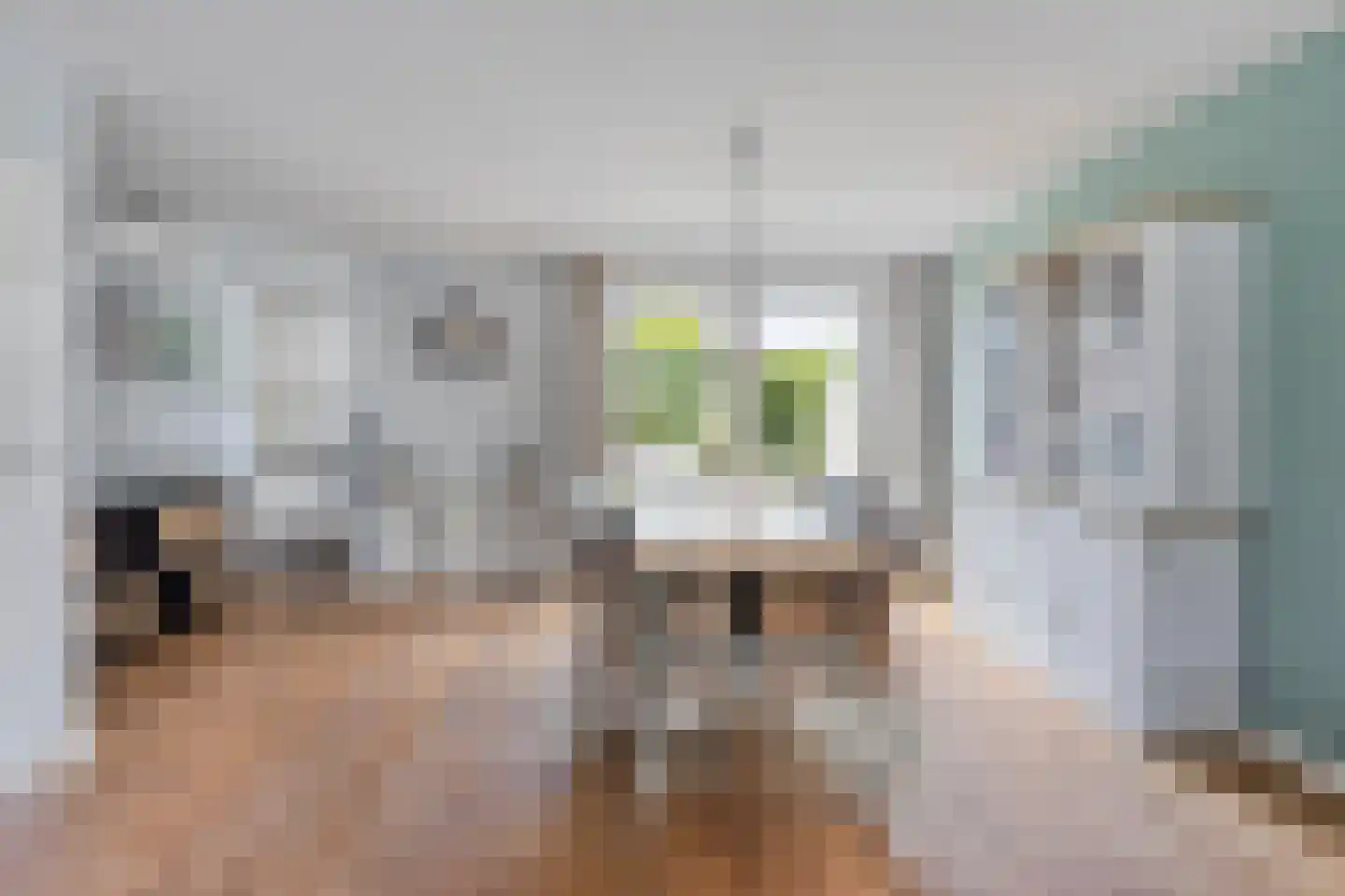 Snoek 6 Oss thumbnail 7