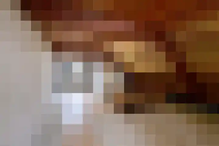 Snoek 8 Huizen thumbnail 10