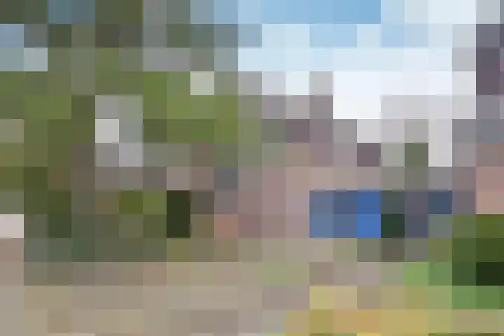 Snoek 8 Huizen thumbnail 12