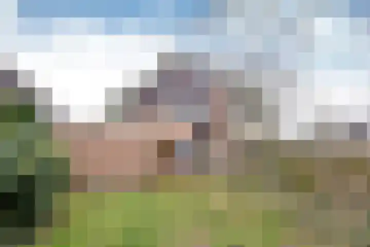Snoek 8 Huizen thumbnail 13