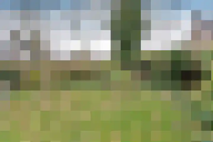 Snoek 8 Huizen thumbnail 14