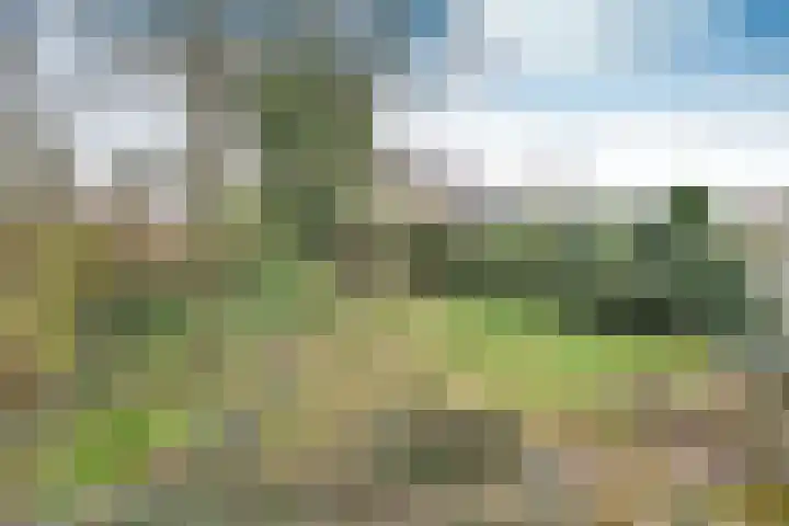 Snoek 8 Huizen thumbnail 15