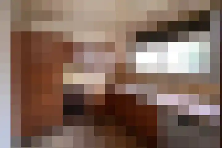 Snoek 8 Huizen thumbnail 5