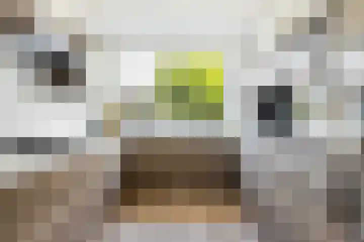 Snoek 9 Hendrik-Ido-Ambacht thumbnail 17