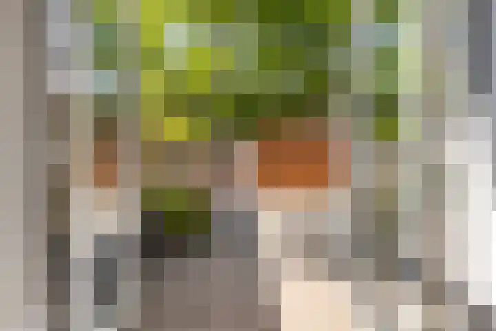Snoek 9 Hendrik-Ido-Ambacht thumbnail 20