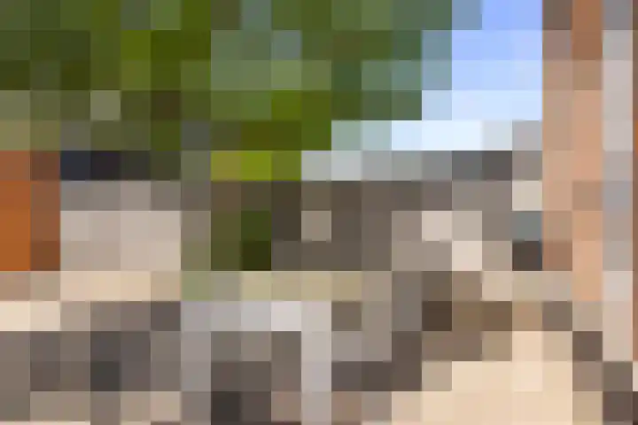 Snoek 9 Hendrik-Ido-Ambacht thumbnail 21