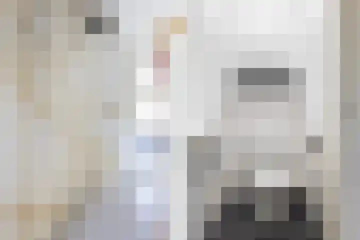 Snoek 9 Hendrik-Ido-Ambacht thumbnail 25