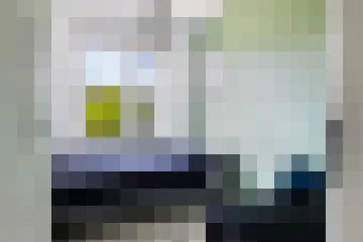 Snoek 9 Hendrik-Ido-Ambacht thumbnail 26