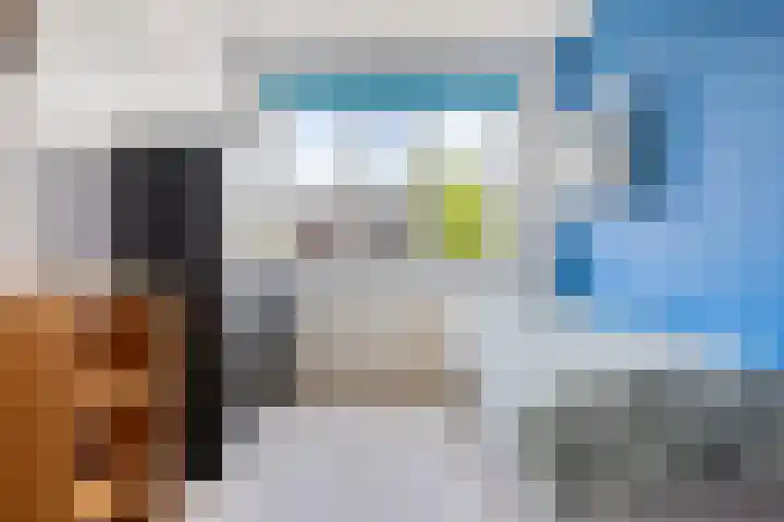 Snoek 9 Hendrik-Ido-Ambacht thumbnail 31