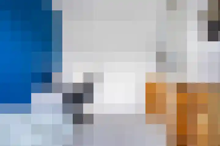 Snoek 9 Hendrik-Ido-Ambacht thumbnail 32