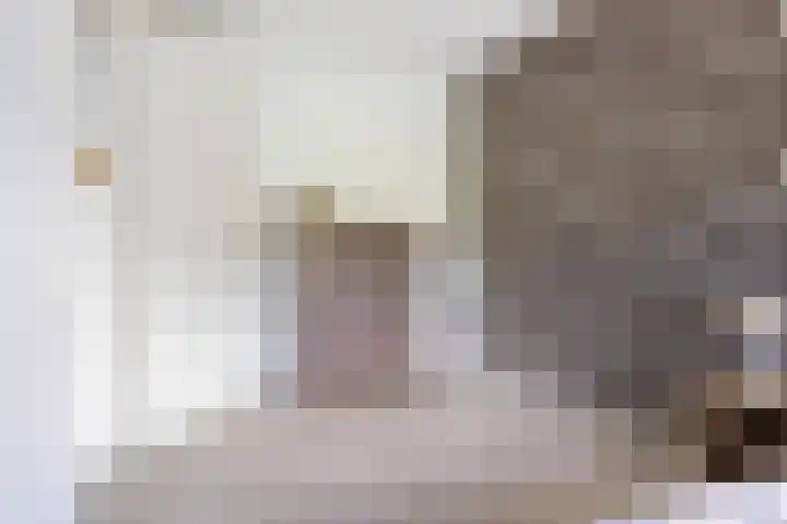 Snoek 9 Hendrik-Ido-Ambacht thumbnail 34