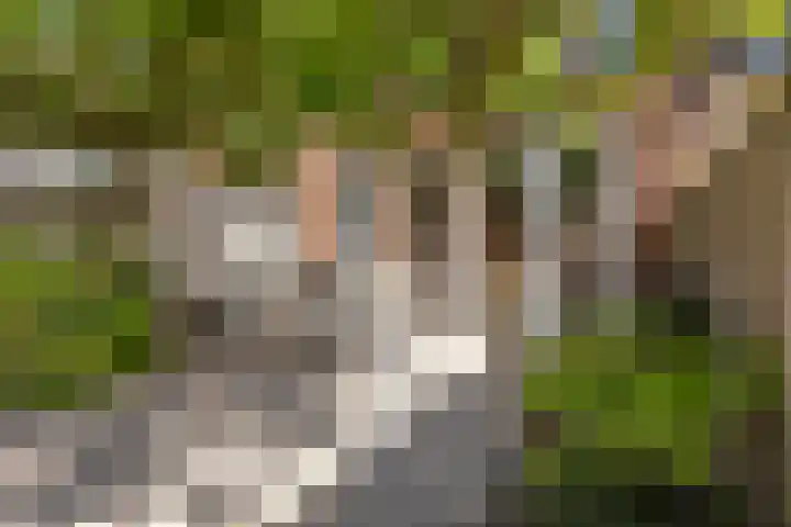 Snoek 9 Hendrik-Ido-Ambacht thumbnail 5