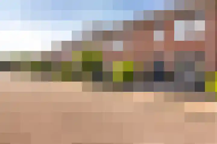 Snoek 9 Hendrik-Ido-Ambacht thumbnail 6
