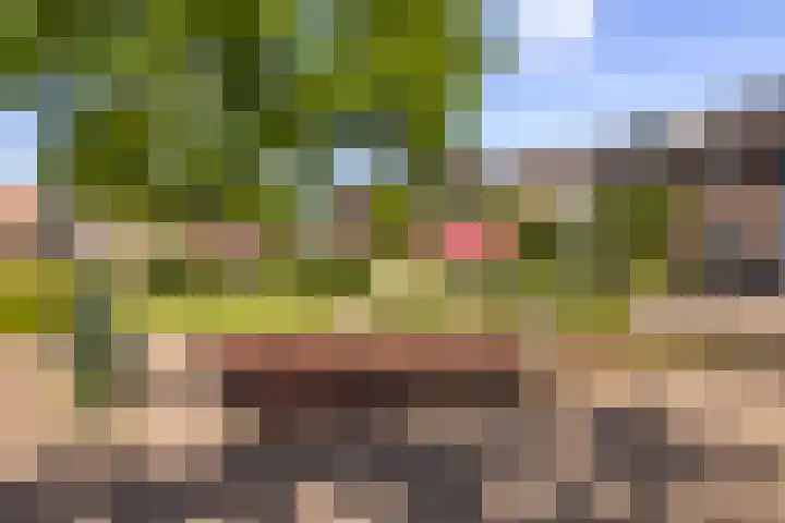 Snoek 9 Hendrik-Ido-Ambacht thumbnail 7