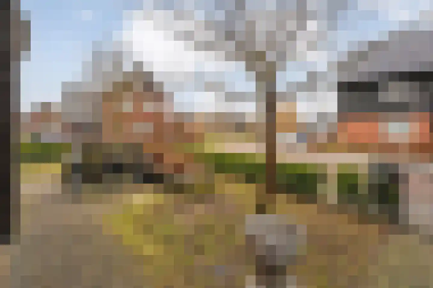 Snoekbaars 14 Nieuwleusen thumbnail 21