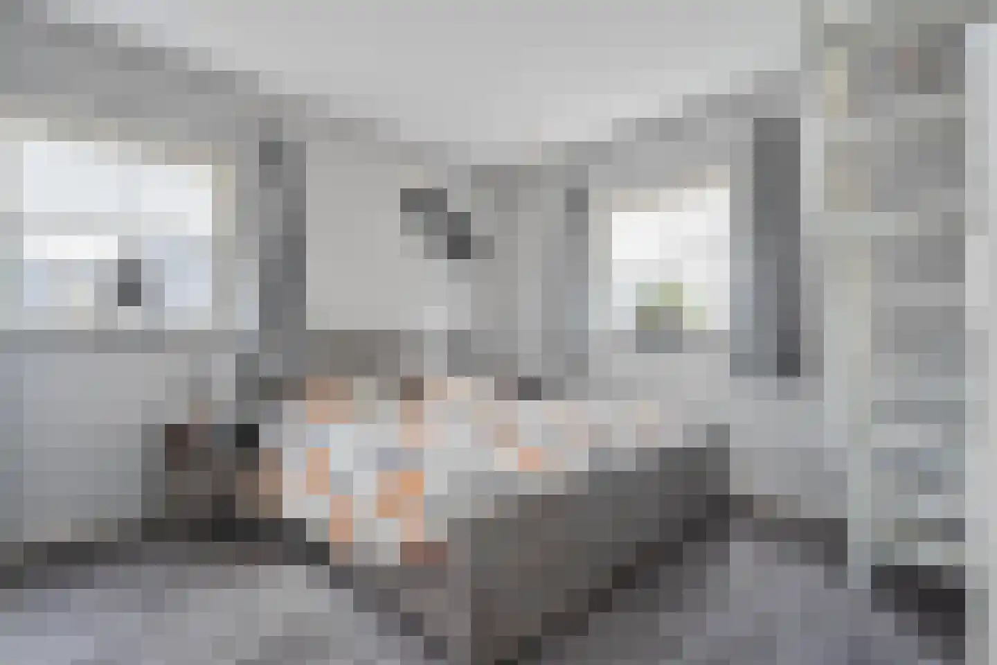 Snoekbaars 14 Nieuwleusen thumbnail 37