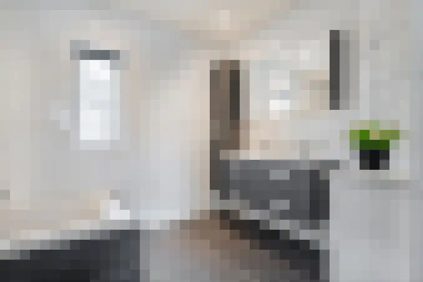 Snoekbaars 14 Nieuwleusen thumbnail 4