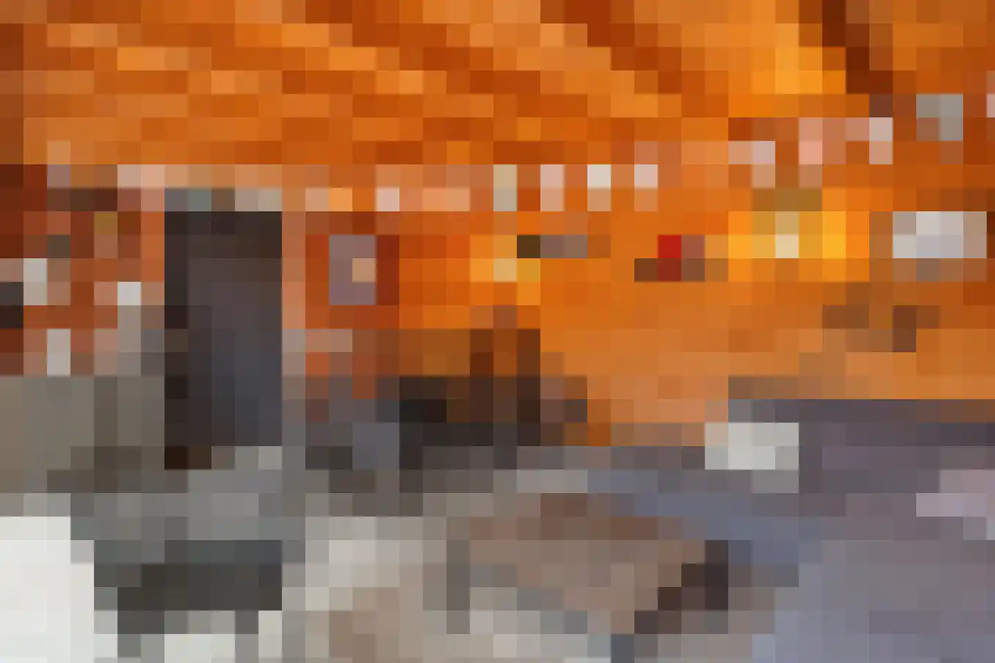 Snoekbaars 14 Nieuwleusen thumbnail 5